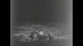 Link to Video | black and white