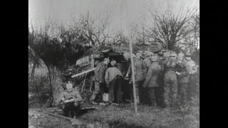 Link to Video | black and white