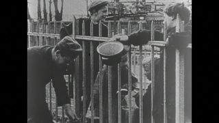 Link to Video | black and white