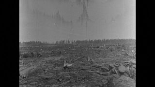 Link to Video | black and white