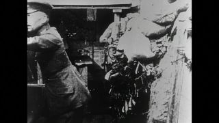 Link to Video | black and white