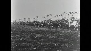 Link to Video | World War I