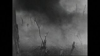 Link to Video | World War I