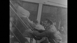 Link to Video | black and white