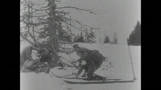 Link to Video | black and white