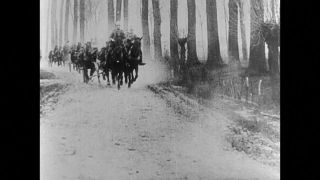 Link to Video | black and white