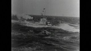 Link to Video | black and white