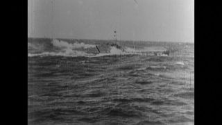 Link to Video | black and white