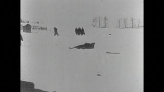 Link to Video | black and white