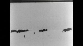 Link to Video | black and white