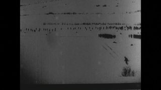 Link to Video | black and white