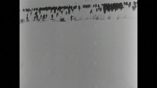 Link to Video | black and white