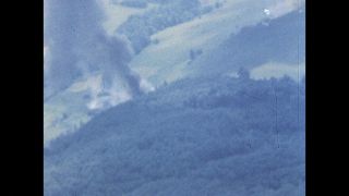 Link to Video