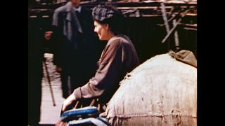 Link to Video