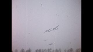 Link to Video