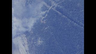 Link to Video