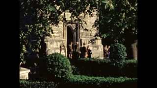 Link to Video