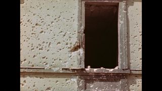 Link to Video