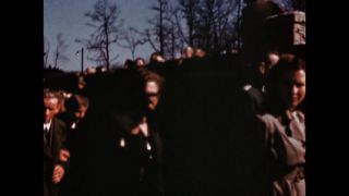 Link to Video