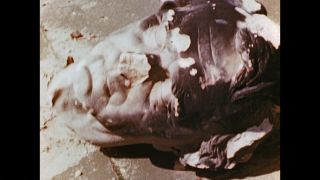 Link to Video
