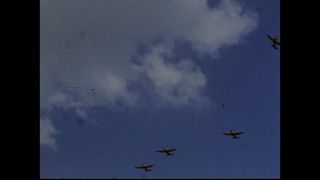 Link to Video