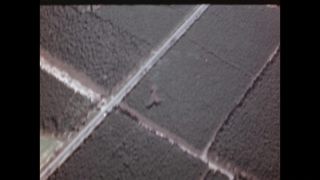 Link to Video