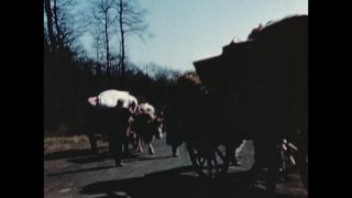 Link to Video