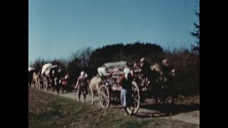 Link to Video