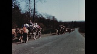 Link to Video