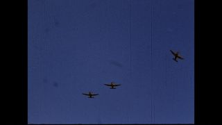 Link to Video