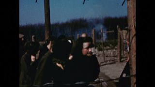 Link to Video
