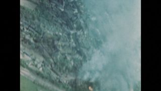 Link to Video