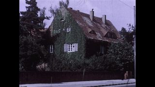Link to Video