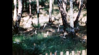 Link to Video