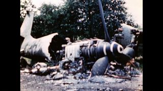 Link to Video
