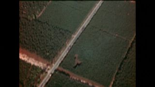 Link to Video