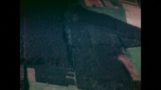 Link to Video