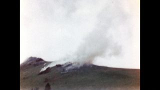 Link to Video