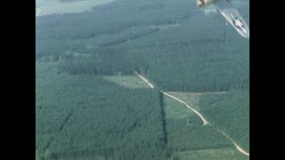 Link to Video | airplane with propellers, United States Air Force, Full High Definition, airplane, color, Air-to-air photography, World War II, 1945, daytime