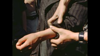 Link to Video | antisemitism, Third Reich