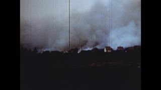 Link to Video