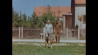 Link to Video