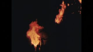 Link to Video