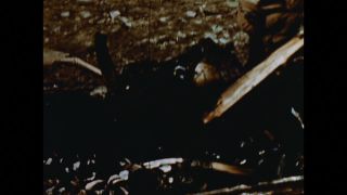 Link to Video | antisemitism, Third Reich