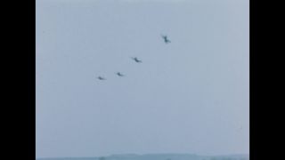 Link to Video