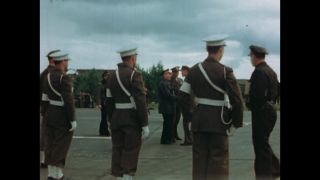 Link to Video