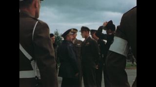 Link to Video