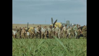 Link to Video