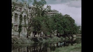 Link to Video