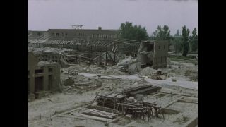 Link to Video